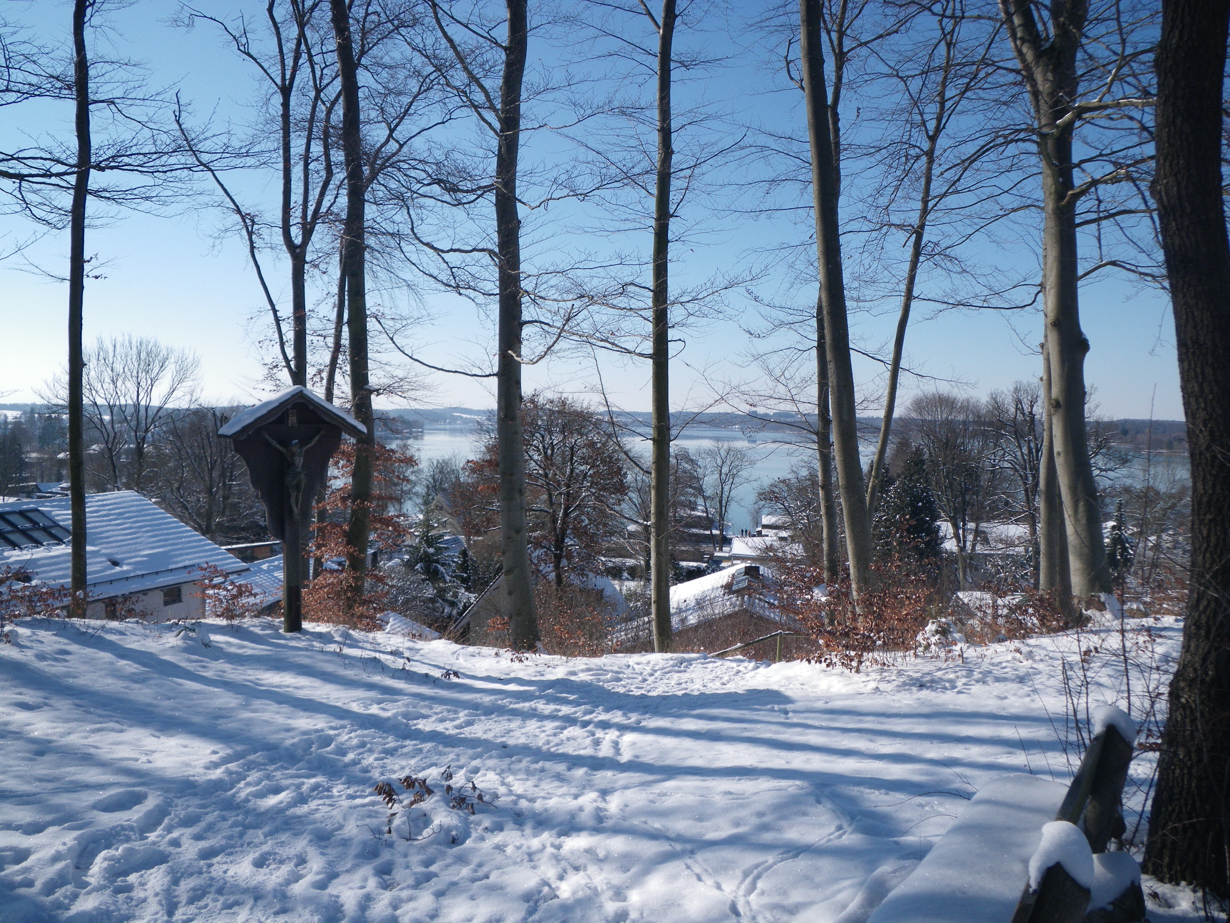 Seepanorama im Winter