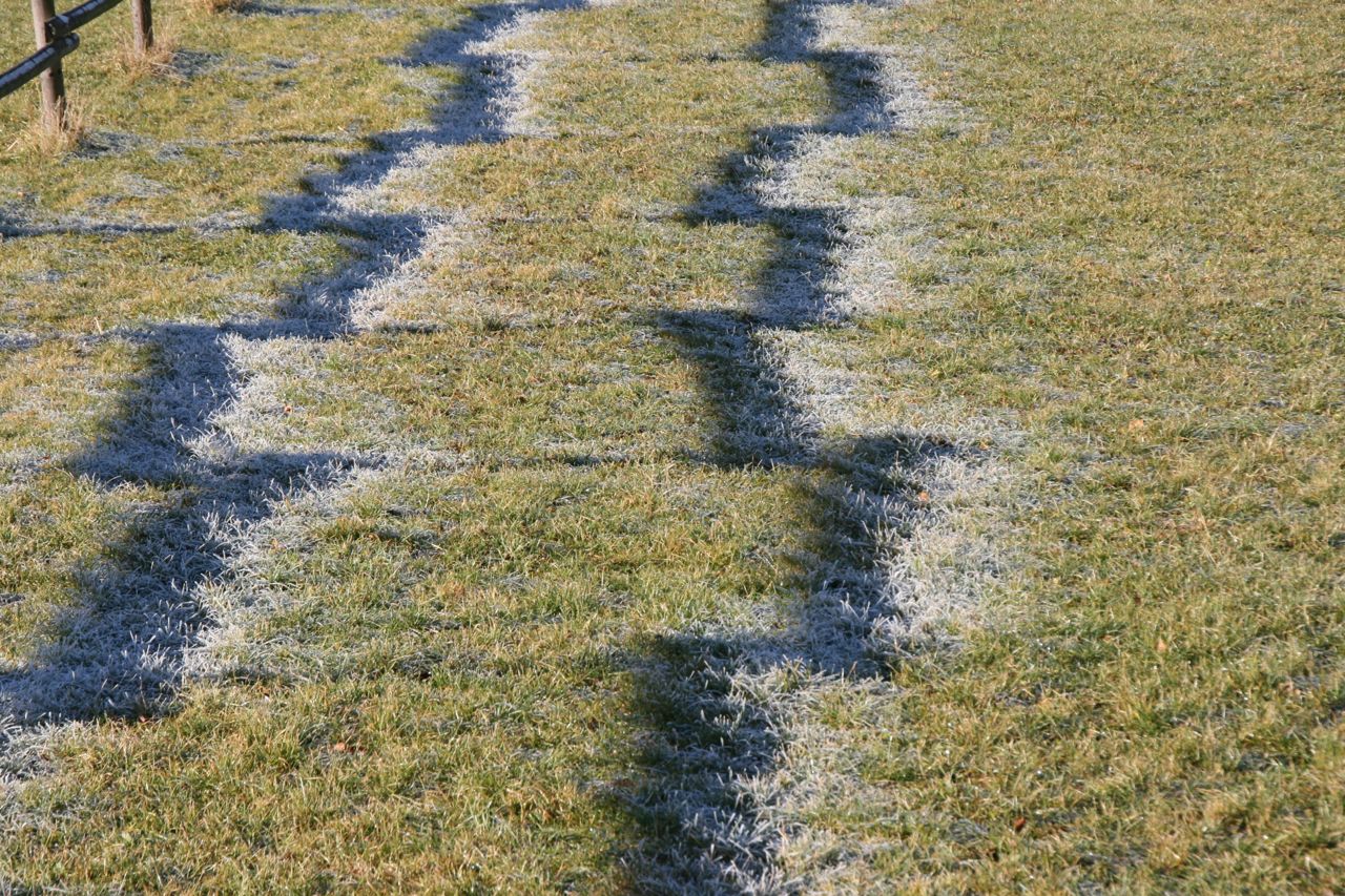 Zaunschatten in frostiger Wiese