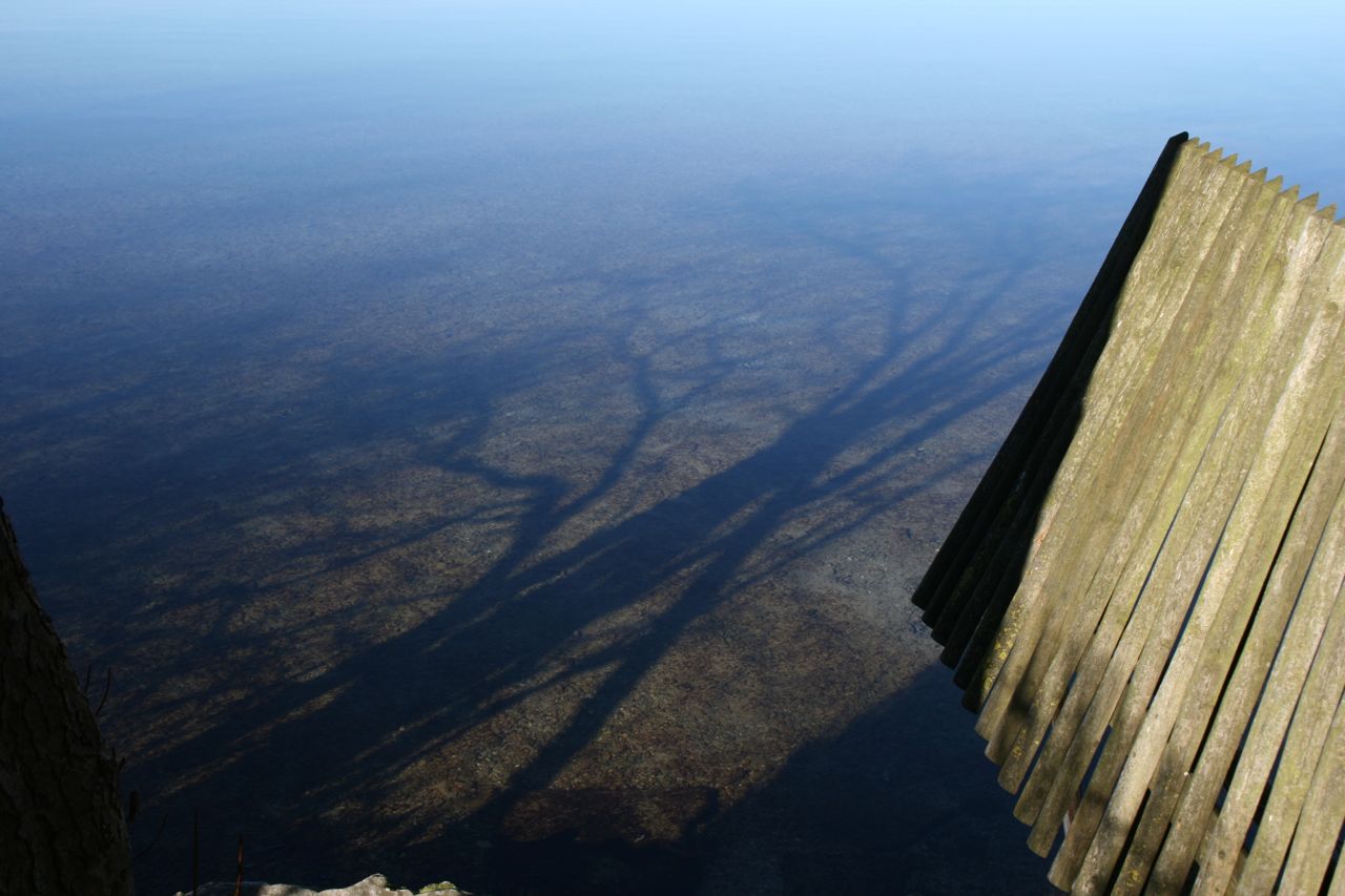 Schatten im See