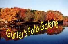 Gnter's Foto-Galerie