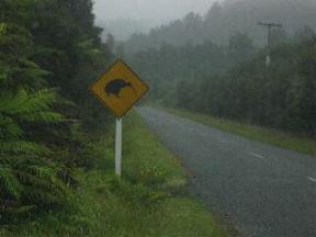 Kiwi Sign