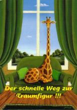 Der Weg zur Traumfigur